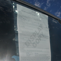 S19 - Plastic Display Sleeves